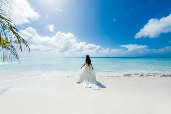 Nettoyage de robes de mariée